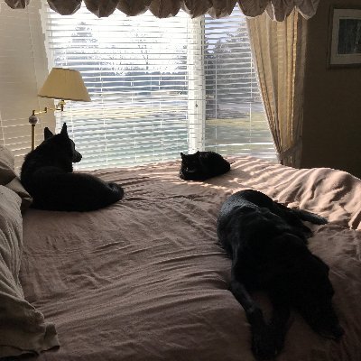 Music lover, April 1 fan, rescuer of dogs and cats and beancounter. Ran for mayor, was fun, see link:
https://t.co/f5hAlfRAEj…
Opinions are mine.