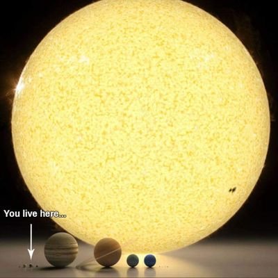 AfricaInst's profile picture. 