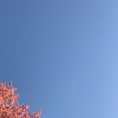 brunadanessa's profile picture.