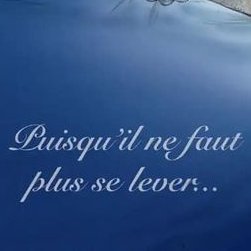 XX
Rire à chaque jour est mon meilleur médicament
Allergie sévère aux anti-touts
Nostalgique de l'insouciance d'avant pandémie