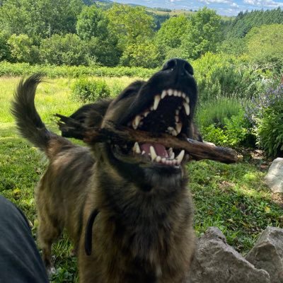 AtabihsI0711's profile picture. ばたばたしてます 散らかってます 前に進んでます　11月生まれは真剣な人らしい