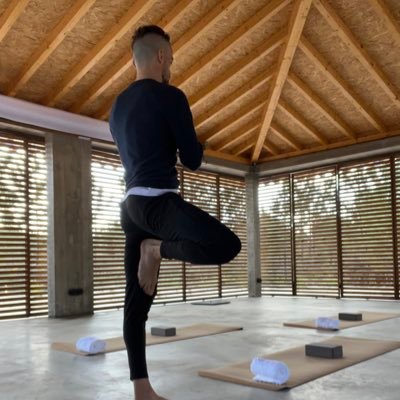 andrefgviegas's profile picture. 