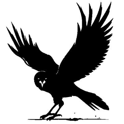 Flying Raven ⚡️🇺🇸 Profile