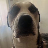 Rodri (@echavarriarodr1) 's Twitter Profile