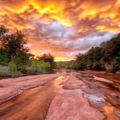 TimothyJamesAL's profile picture. 