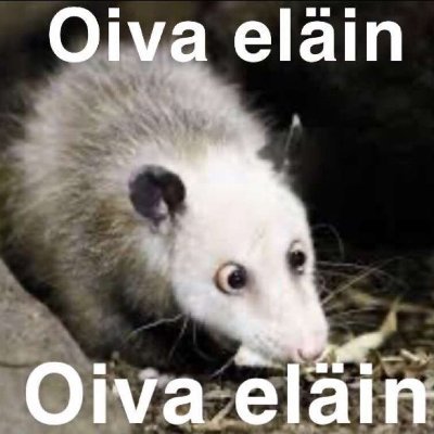 @OivallusLoL
