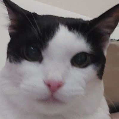 tablefortwo_007's profile picture. 