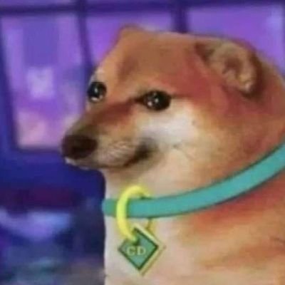 SanjaySrikar's profile picture. spectreseek