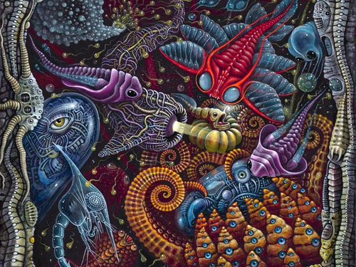 joravibo's profile picture. 