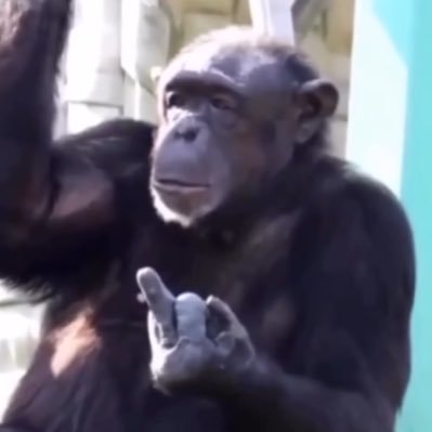 JooanAntny's profile picture. 