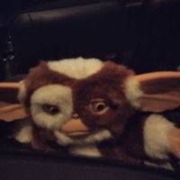 gizmo (@gizmo_gremlin_1) 's Twitter Profile