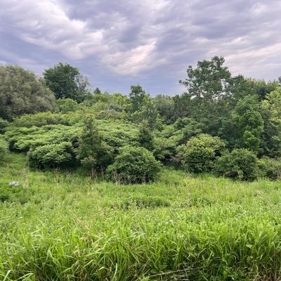 AmjaAugustie's profile picture. 