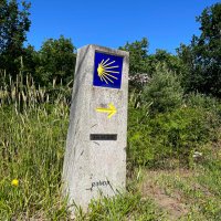 Andy (@foxinthebox7) 's Twitter Profile Photo