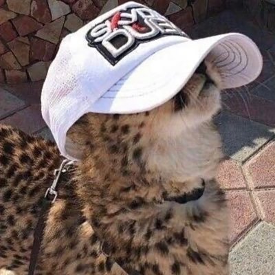 ⠀⠀⠀⠀⠀⠀⠀⠀ follow back ⠀⠀⠀⠀⠀⠀⠀⠀⠀⠀⠀⠀⠀⠀⠀ ⠀ ⠀⠀ ⠀⠀⠀⠀⠀