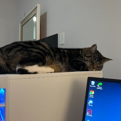 rmanuels's profile picture. contributor @CommunityNotes, prev @Twitter translation center