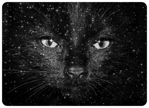 HeatherBusk's profile picture. 