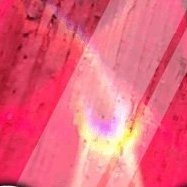 JachieBachie's profile picture. It is what it is.