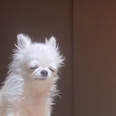 芯 • COMMS OPENさんのプロフィール画像
