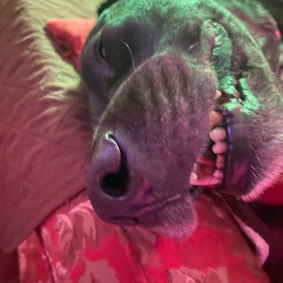 20 | she/they | artist, musician, deranged queer.
