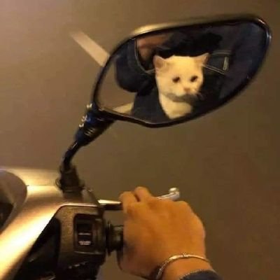 dij_name's profile picture. درست نمیدونم