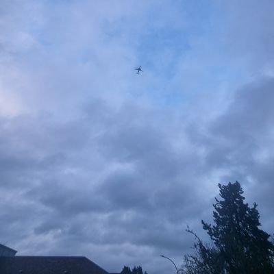 archhhxxx's profile picture. spread love