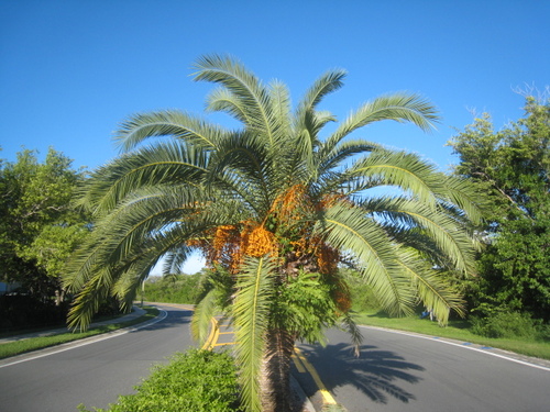 lemasai's profile picture. 