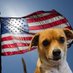 1776 Freedom fighter (@1776freedo75049) Twitter profile photo 1776 Freedom fighter (@1776freedo75049) Twitter profile photo