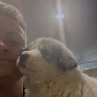Levi Thomas (@levithomas40) 's Twitter Profile