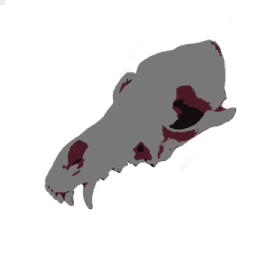 chimerim's profile picture. https://t.co/dXIRMNOao3 the  dread  doctors'  failure .   ❪  a  werewolf  ﹠  a  werecoyote  ❫   @saeviam finally gets one thing https://t.co/nUphuZnIhz