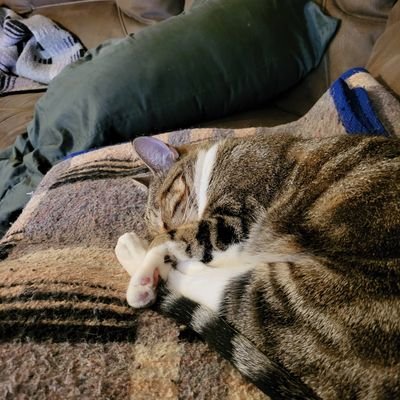 jjnw37's profile picture. 