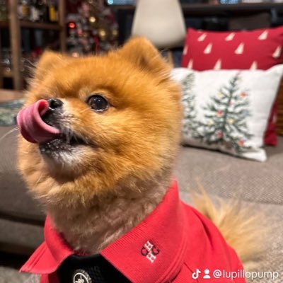 criscor6's profile picture. 