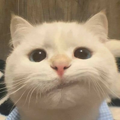 meroounna's profile picture. study acc ⋆˚✿˖° 
# last of senior high-school