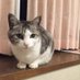 ノン (@p55692) Twitter profile photo ノン (@p55692) Twitter profile photo