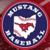 USA Prime Central Ohio (@mustangs2026) Twitter profile photo USA Prime Central Ohio (@mustangs2026) Twitter profile photo