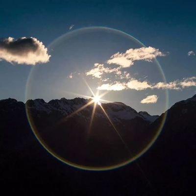 2793449159Qiyue's profile picture. 