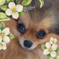 Sasha Marie (@mlsp1976) 's Twitter Profile