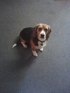 ctbond7's profile picture. 