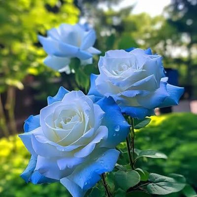 Luv_Nation_01's profile picture. 