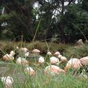 terrie riley - @diamondgirl1104 - Twitter