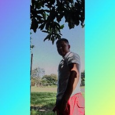 JoseZamora65's profile picture. 