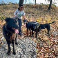 SuryaSadasivan (@sadasivansurya) 's Twitter Profile