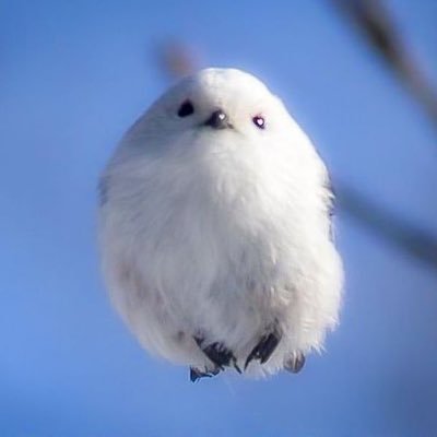 笑門来福さんのプロフィール画像