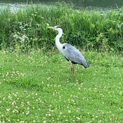 いかなる意味でもおじさん。IT関係労働者。現在は哲学、文学、歴史学、ネットワークコンピューティングに興味があります。