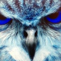 Hondo Track and Field (@hondotrack_) 's Twitter Profile Photo Hondo Track and Field (@hondotrack_) 's Twitter Profile Photo