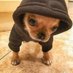 DogPack404 (@dogpack404) Twitter profile photo DogPack404 (@dogpack404) Twitter profile photo