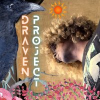 Draven Project (@dravenproject) 's Twitter Profile