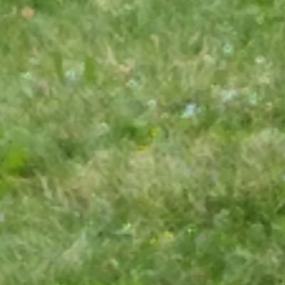 saphiretown12's profile picture. 