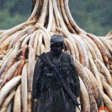 stjameel_'s profile picture. 