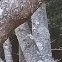 hさんのプロフィール画像