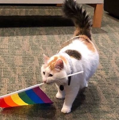 Norren55's profile picture. 🇮🇩🇬🇧👌✨ •• 21 •• He/Him •• below 17 and homophobic DNI ••